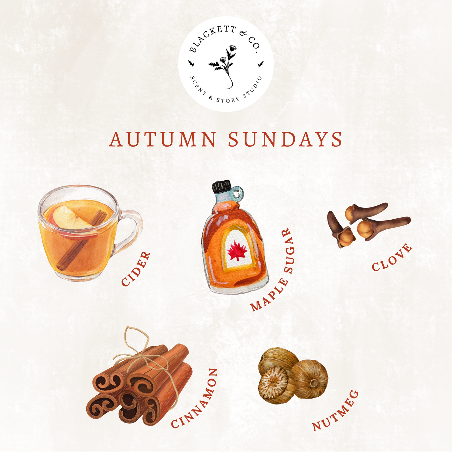 Scent notes of Autumn Sundays scented natural soy candle: cider, maple syrup, cloves, cinnamon, nutmeg.