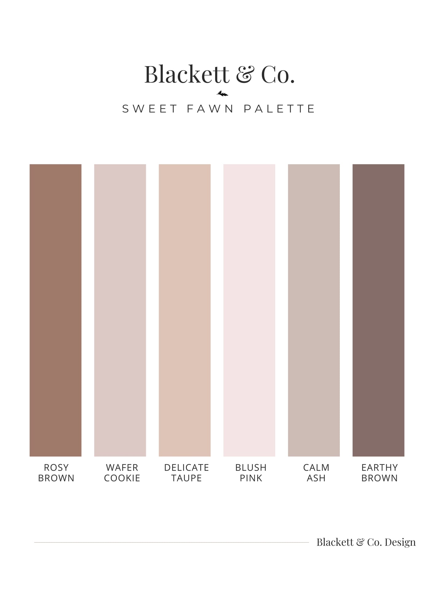 Sweet Fawn colour palette by Blackett & Co. with six vertical colour blocks in muted warm neutrals: Rosy Brown, Wafer Cookie, Delicate Taupe, Blush Pink, Calm Ash, and Earthy Brown.