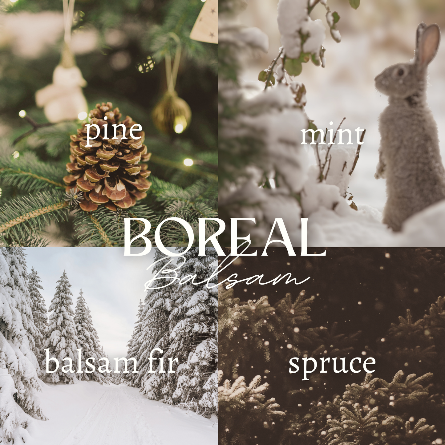 BOREAL BALSAM