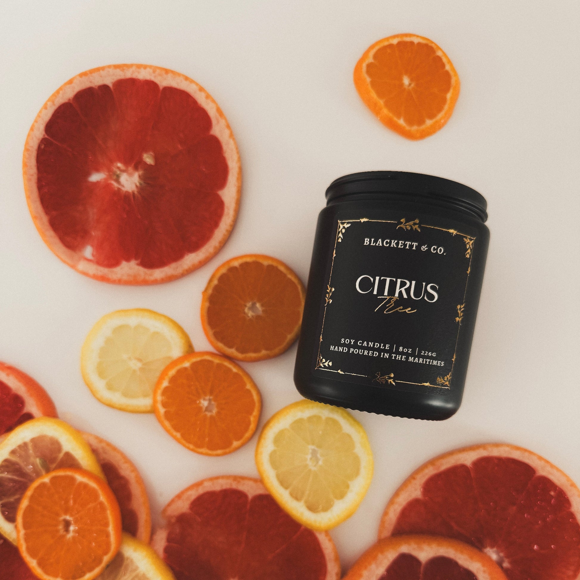 Citrus Tree scented natural soy candle by Blackett & Co. surrounded by sliced citrus fruits on a white background