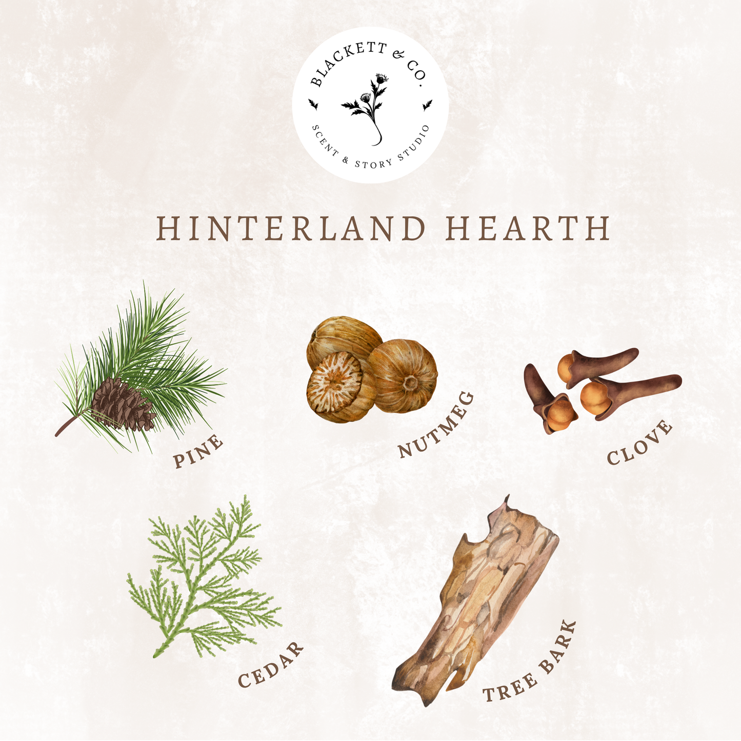 Scent notes of Hinterland Hearth scented natural soy candle: pine, nutmeg, clove, cedar, and tree bark.
