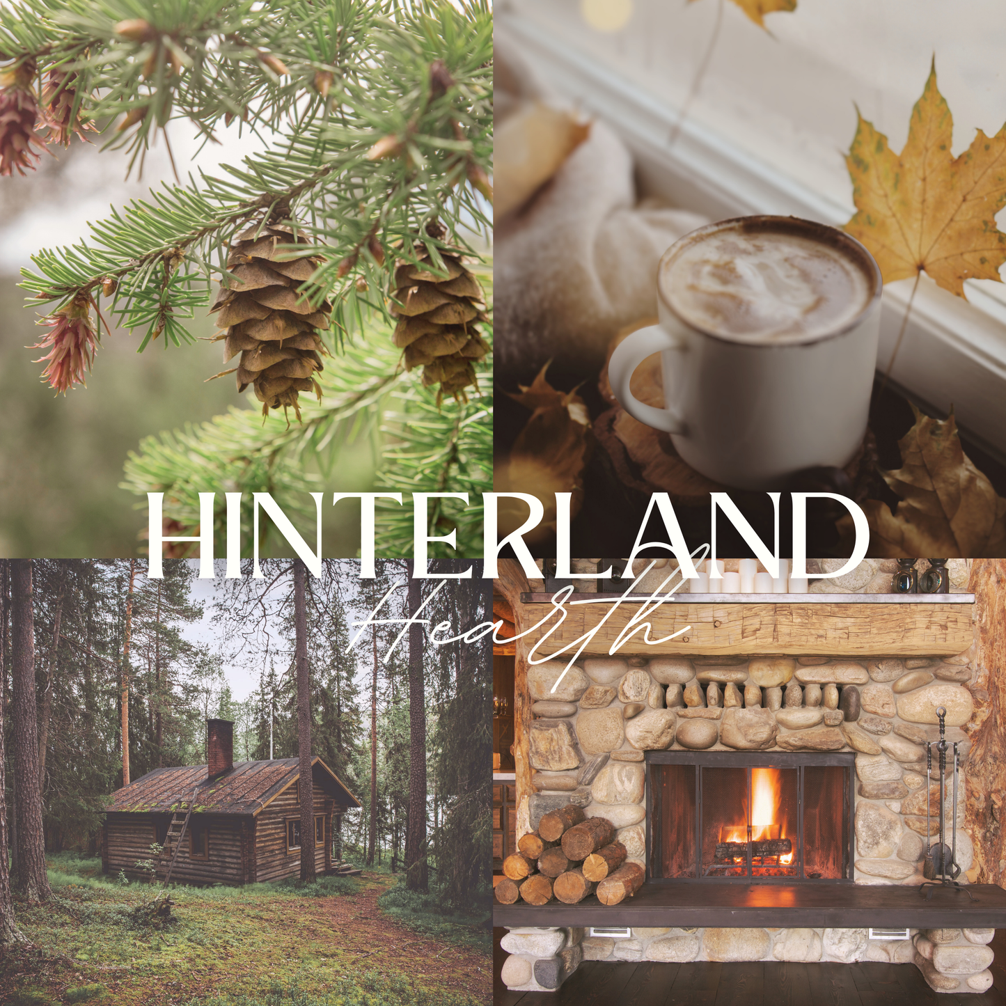 Scent notes of Hinterland Hearth scented natural soy candle: pine, nutmeg, clove, cedar, and tree bark.