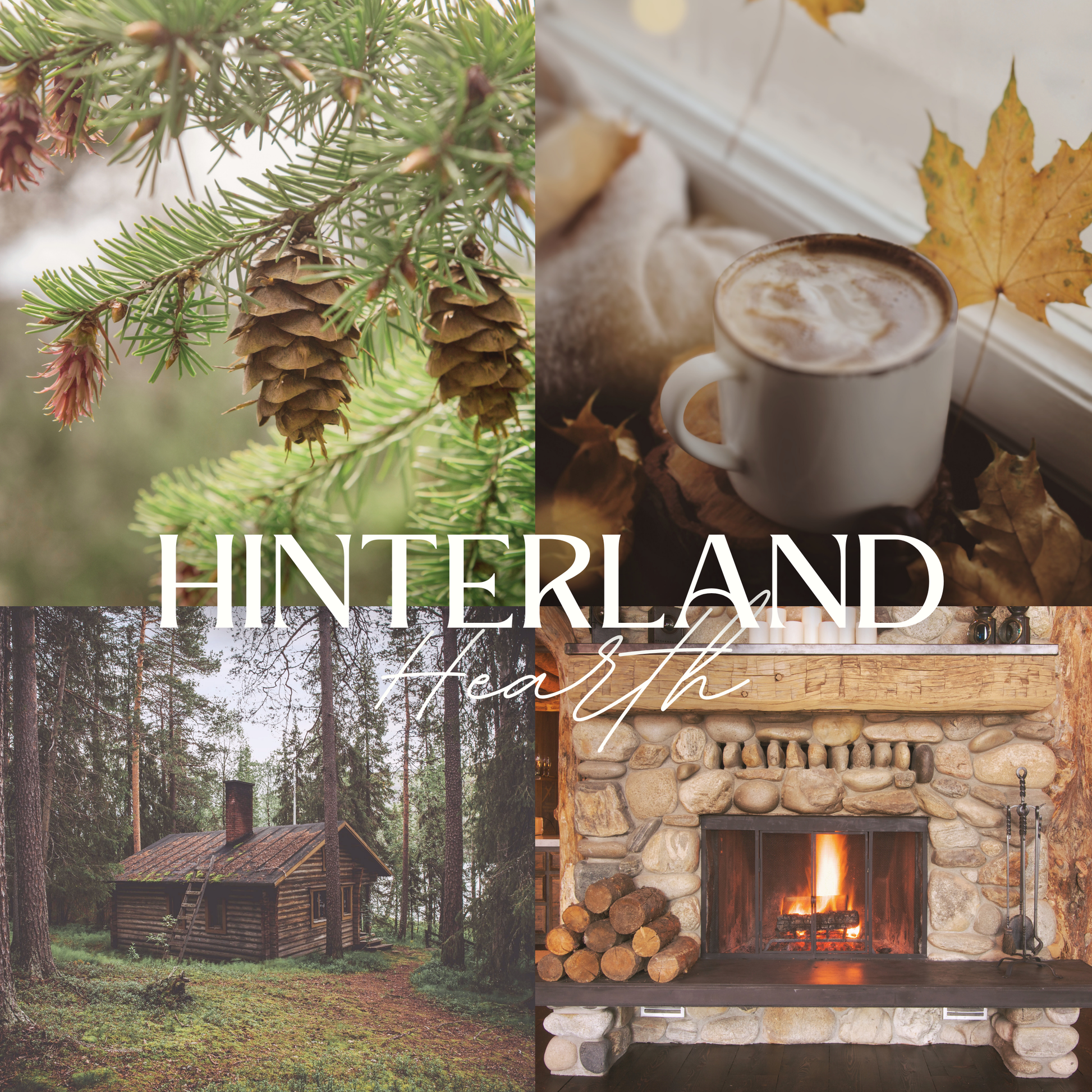 Scent notes of Hinterland Hearth scented natural soy candle: pine, nutmeg, clove, cedar, and tree bark.