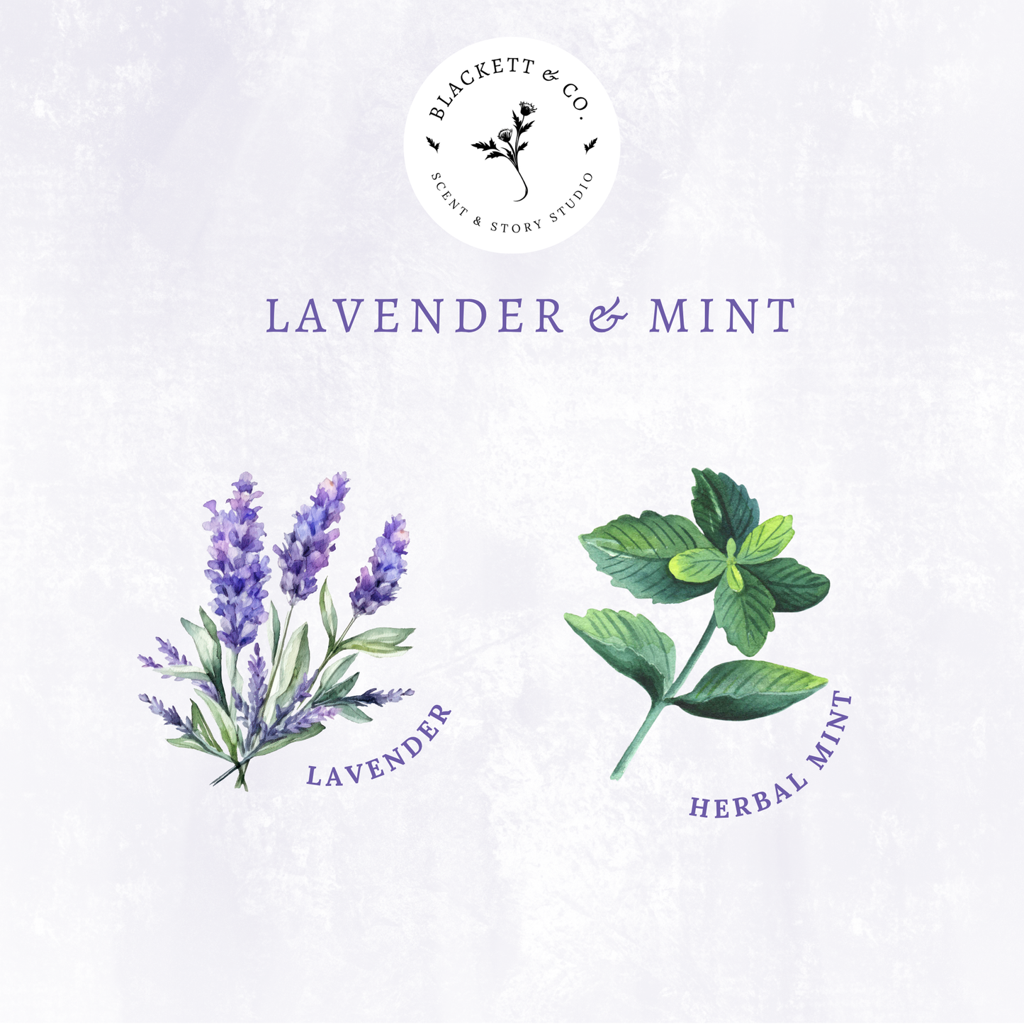 Scent notes of Lavender & Mint scented natural soy candle.