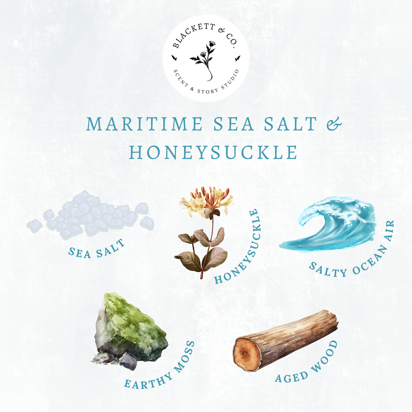 Scent notes of Maritime Sea Salt & Honeysuckle scented natural soy candle: sea salt, honeysuckle, ocean air, earthy moss, and aged wood.