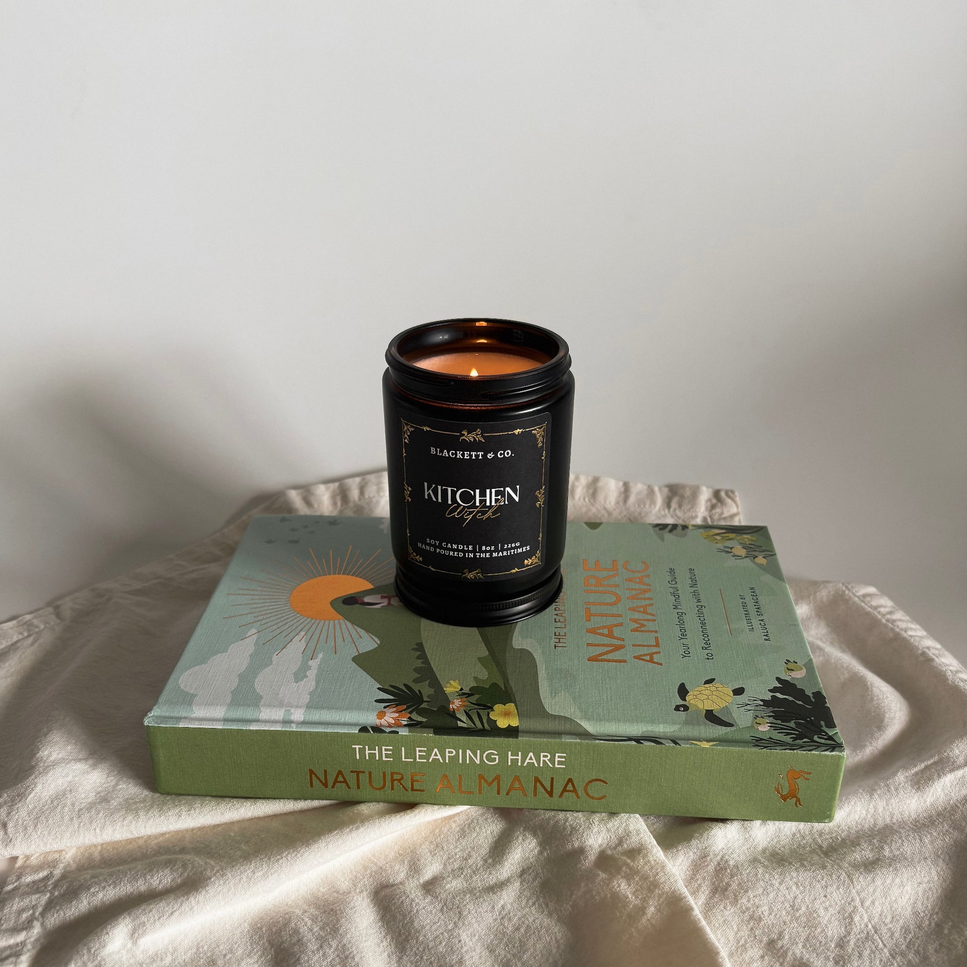 Nature Almanac: Your Yearlong Mindful Guide to Reconnecting With Nature book by Leaping Hare Press and Illustrated by Raluca Spatacean