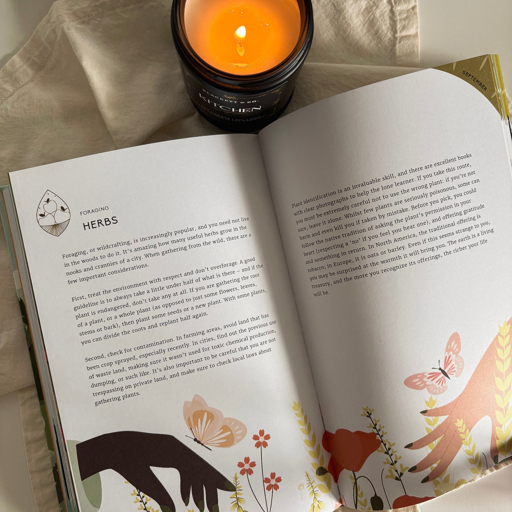 Nature Almanac: Your Yearlong Mindful Guide to Reconnecting With Nature by Leaping Hare Press and Illustrated by Raluca Spatacean