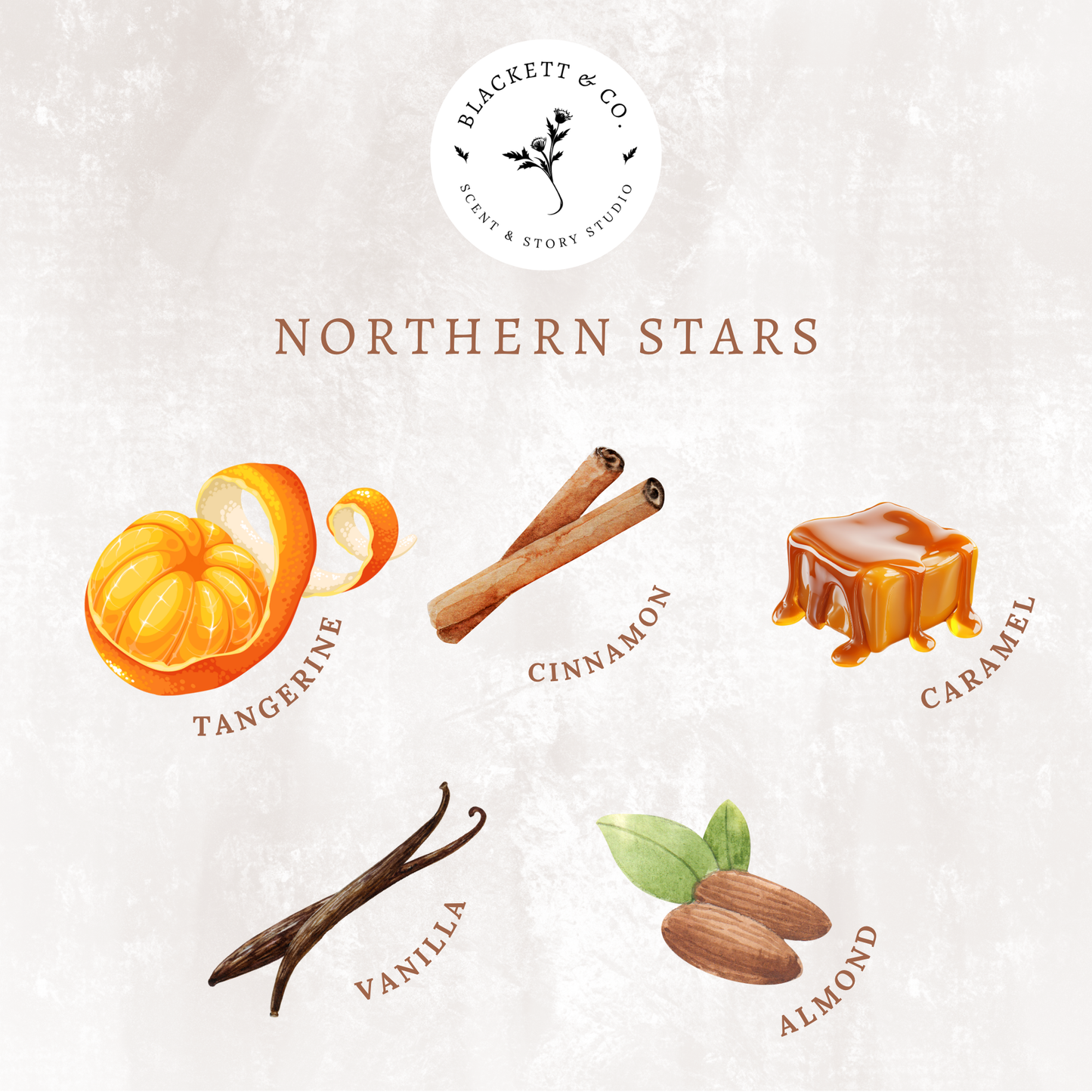 Scent notes of Northern Stars scented natural soy candle: tangerine, cinnamon, caramel, vanilla, almond.