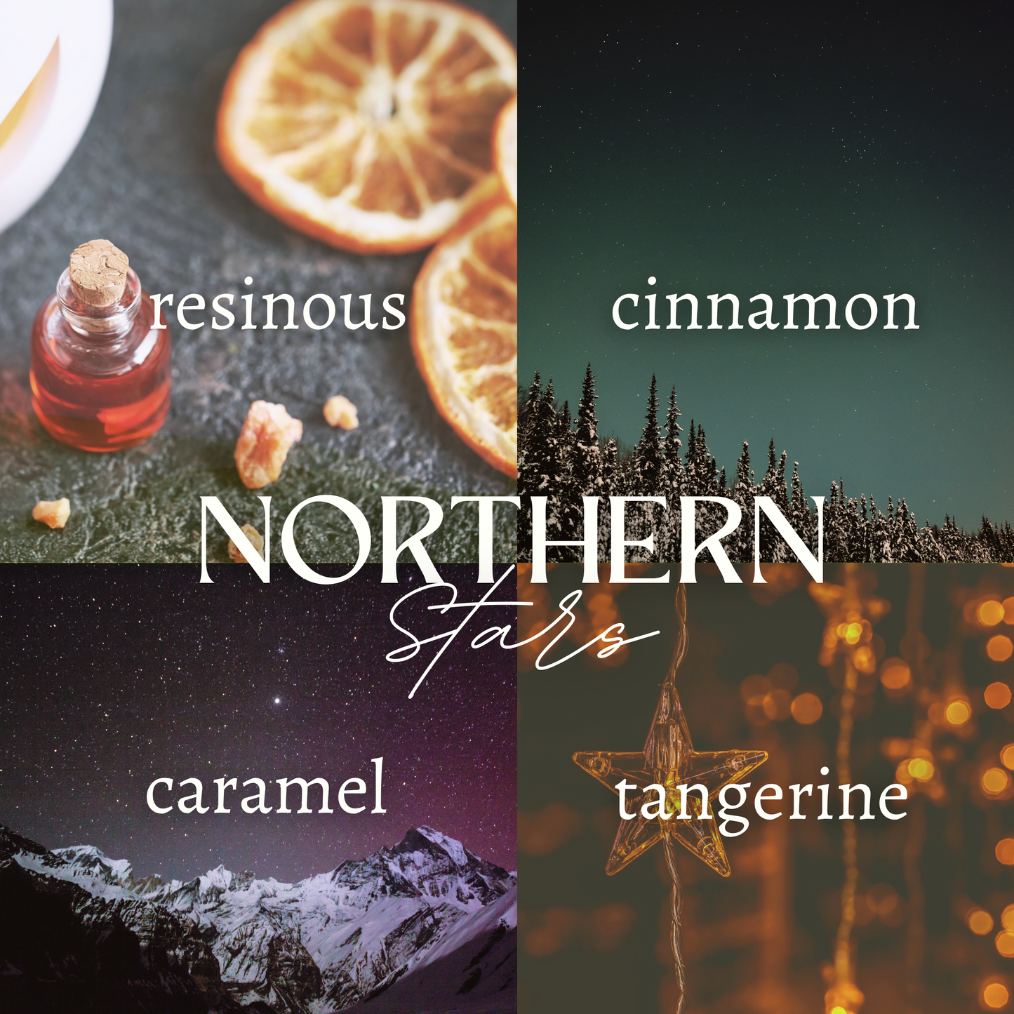 NORTHERN STARS