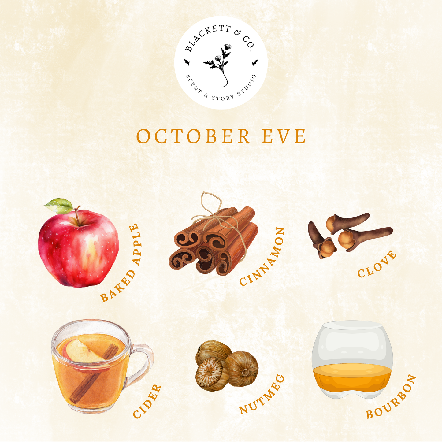 Scent notes of October Eve scented natural soy candle: apples, cinnamon sticks, cloves, apple cider, nutmeg, and bourbon.