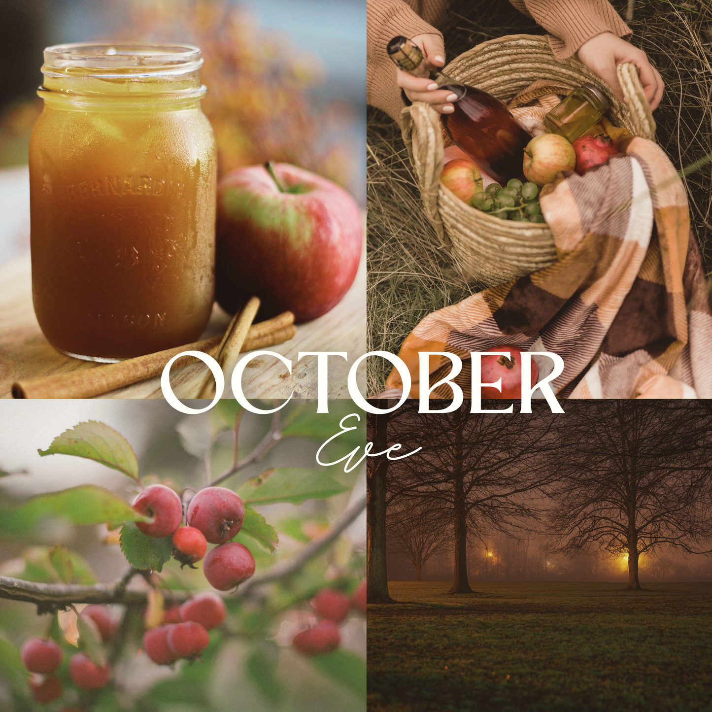 Scent notes of October Eve scented natural soy candle: apples, cinnamon sticks, cloves, apple cider, nutmeg, and bourbon.