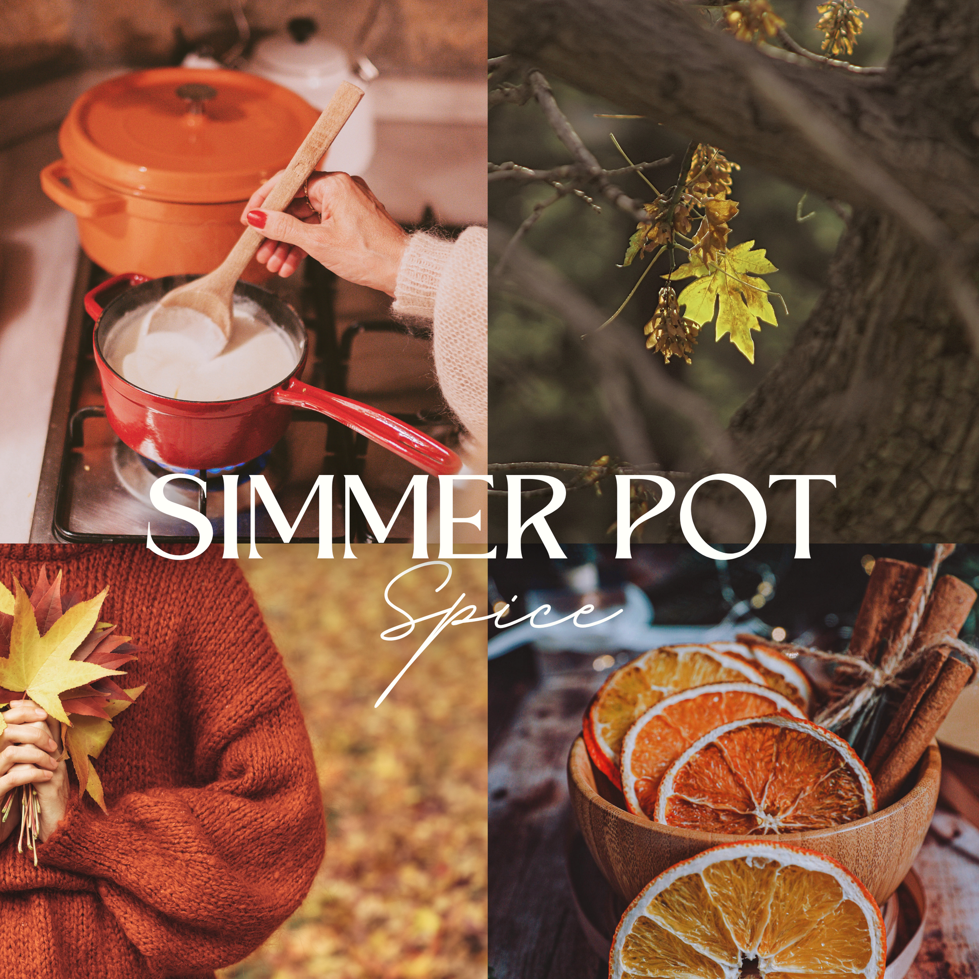 Scent notes of Simmer Pot Spice scented natural soy candle: orange, cinnamon, clove, vanilla, cedar.