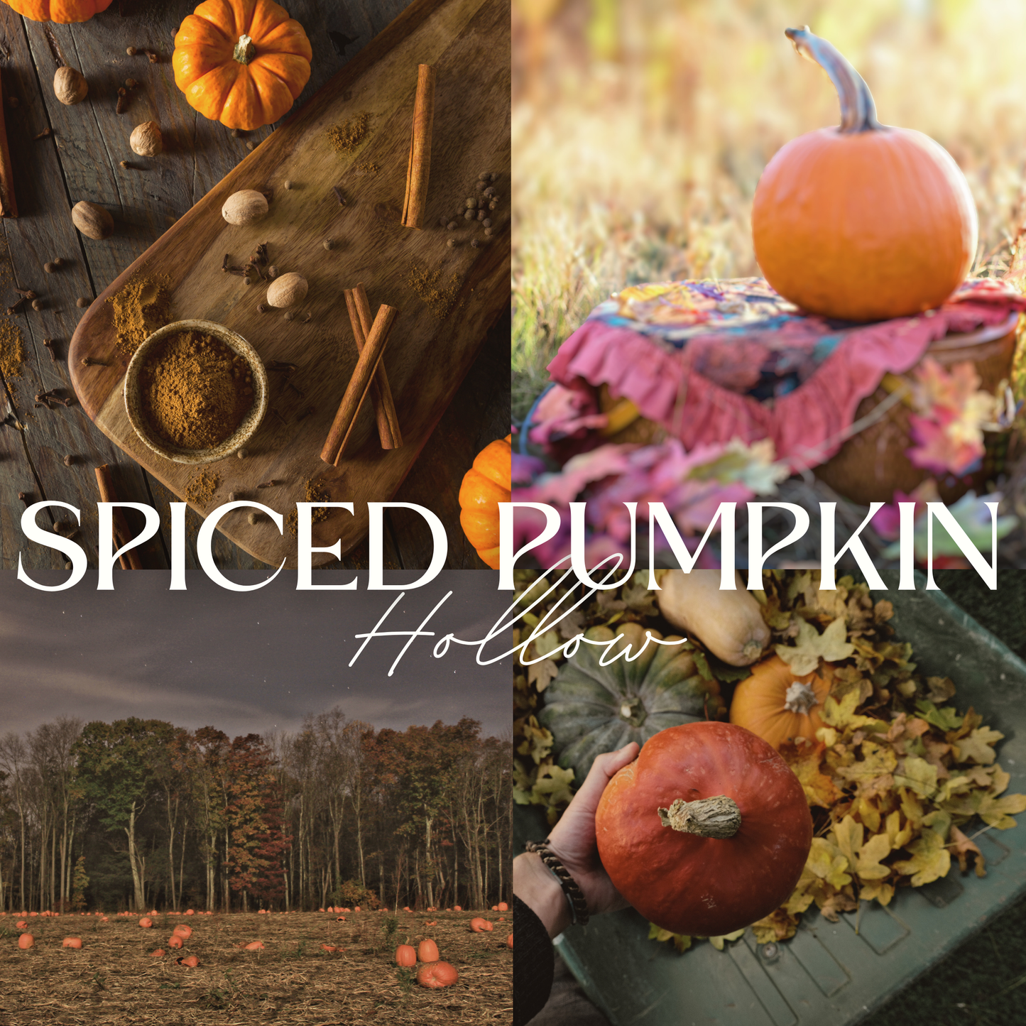Scent notes of Spiced Pumpkin Hollow scented natural soy candle: pumpkin, cinnamon, clove, maple sugar, nutmeg.