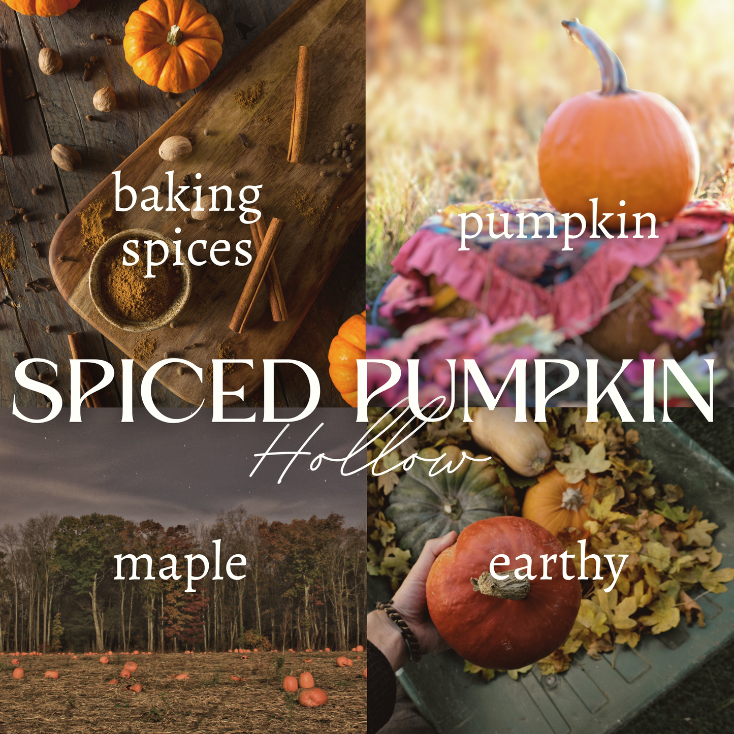 SPICED PUMPKIN HOLLOW