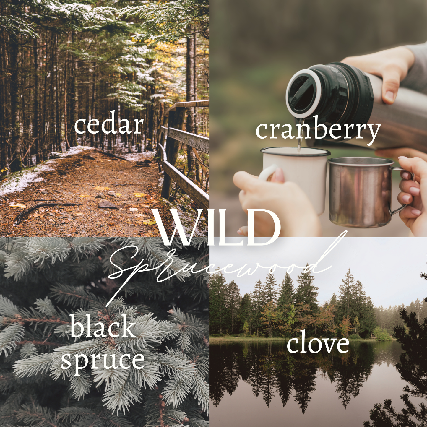 WILD SPRUCEWOOD