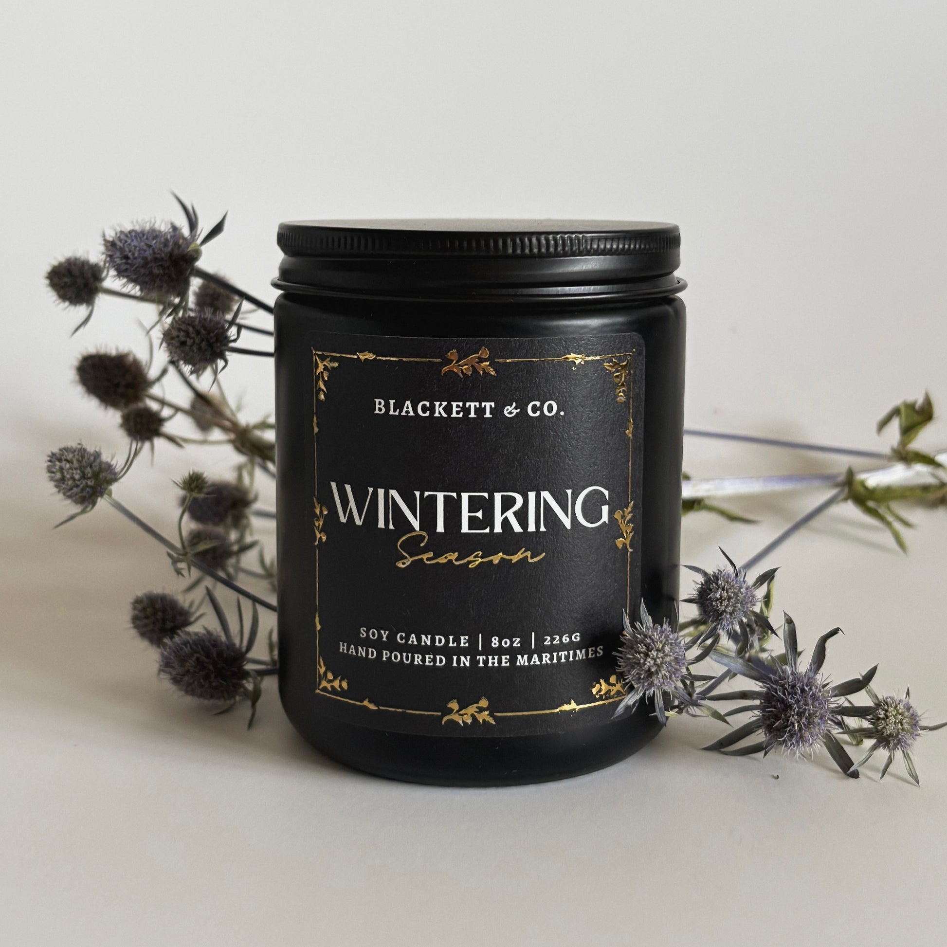 Wintering Season scented natural soy candle in a black jar by Blackett & Co. against a light background with thistles