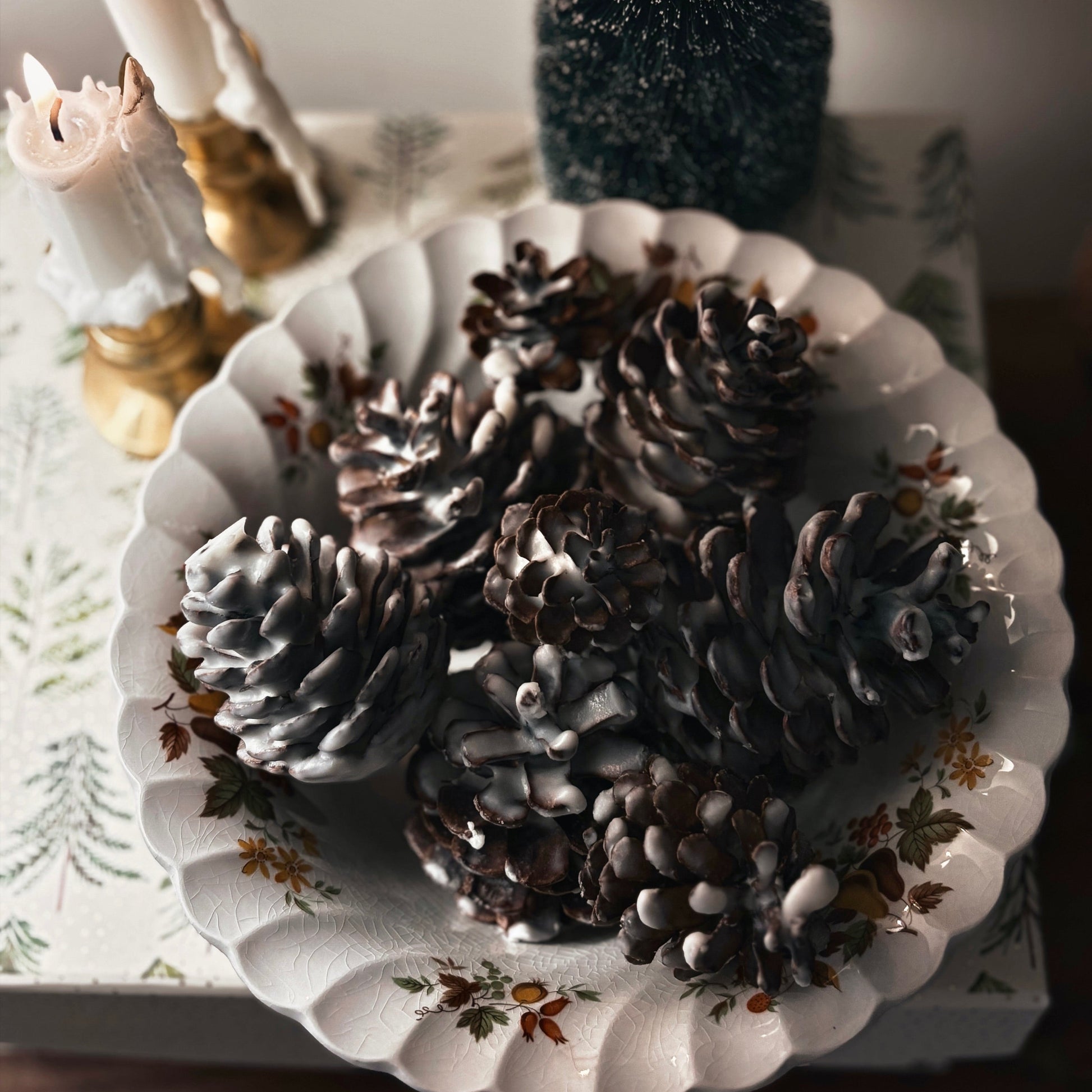 Atlantic Frosted Pinecones by Blackett & Co.