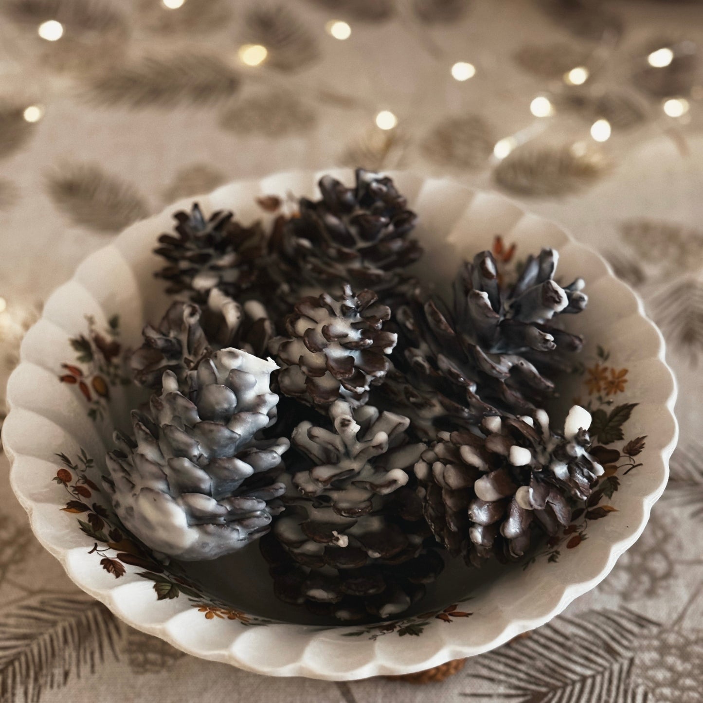 Atlantic Frosted Pinecones by Blackett & Co.