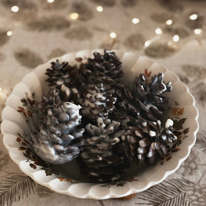 Atlantic Frosted Pinecones by Blackett & Co.