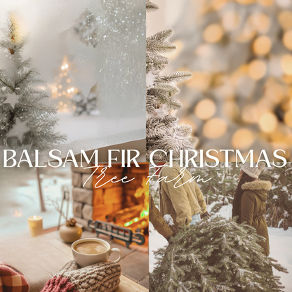 BALSAM FIR CHRISTMAS TREE FARM