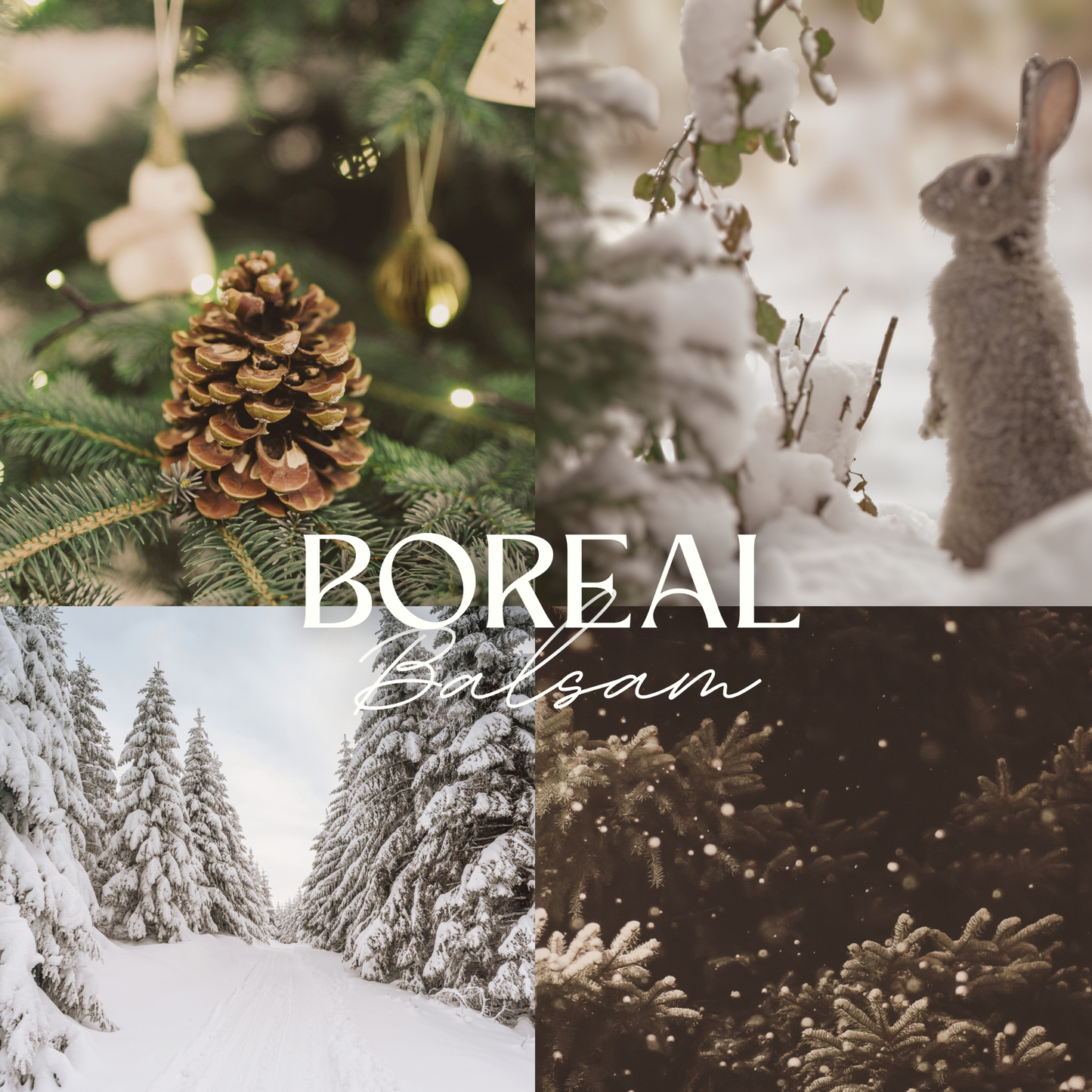 Collage of winter scenes with pinecones, a rabbit, and snowy trees, featuring the text 'Boreal Balsam'.