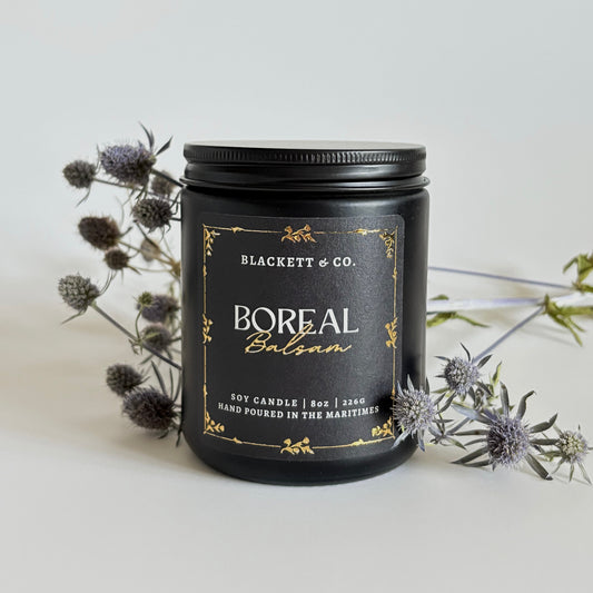 Boreal Balsam scented soy candle in a black jar by Blackett & Co. with thistle flowers on a light background