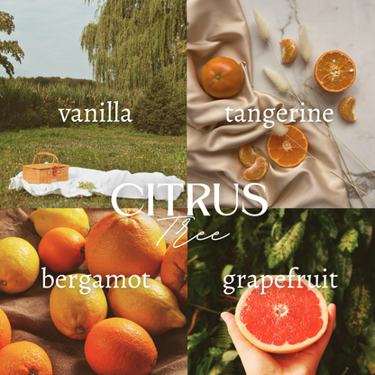 CITRUS TREE