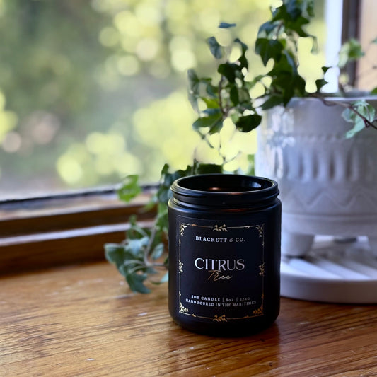 Citrus Tree scented natural soy candle by Blackett & Co. handmade in Atlantic Canada