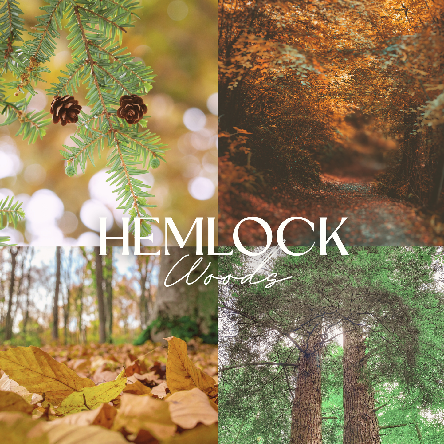 HEMLOCK WOODS