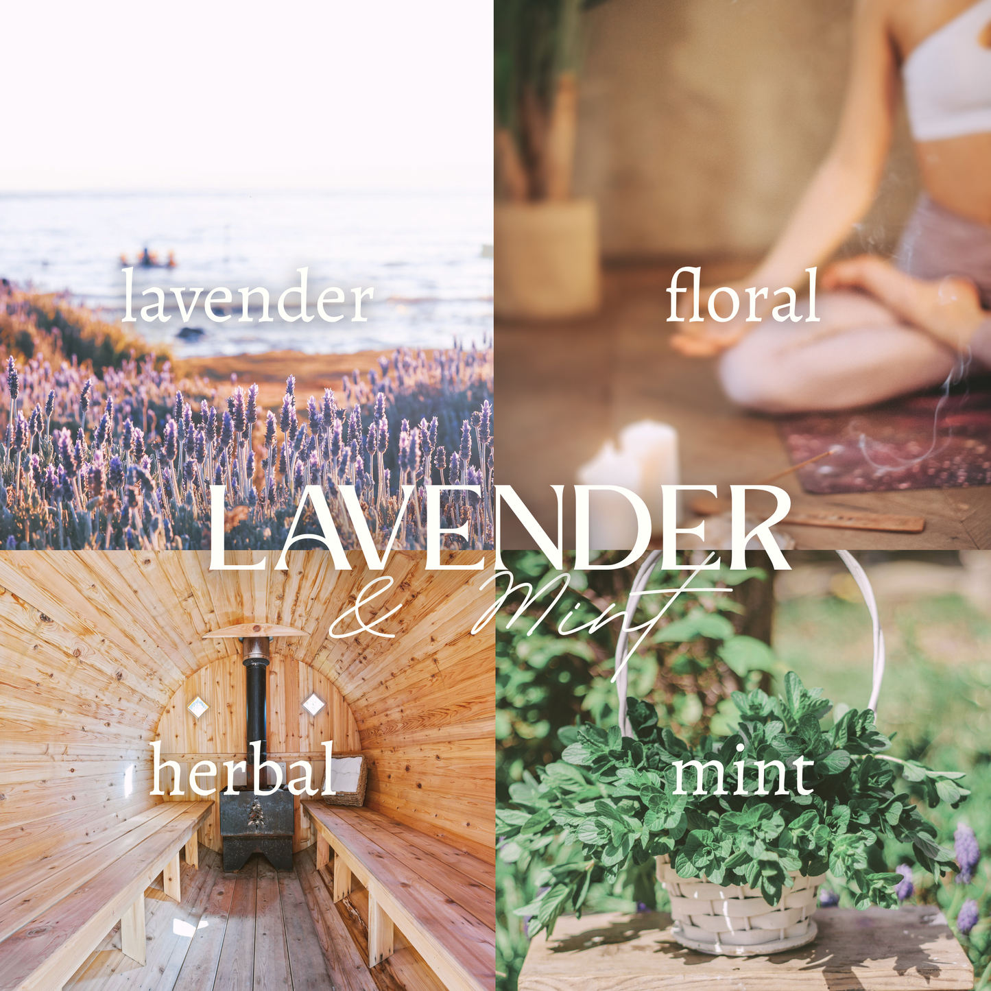 LAVENDER & MINT