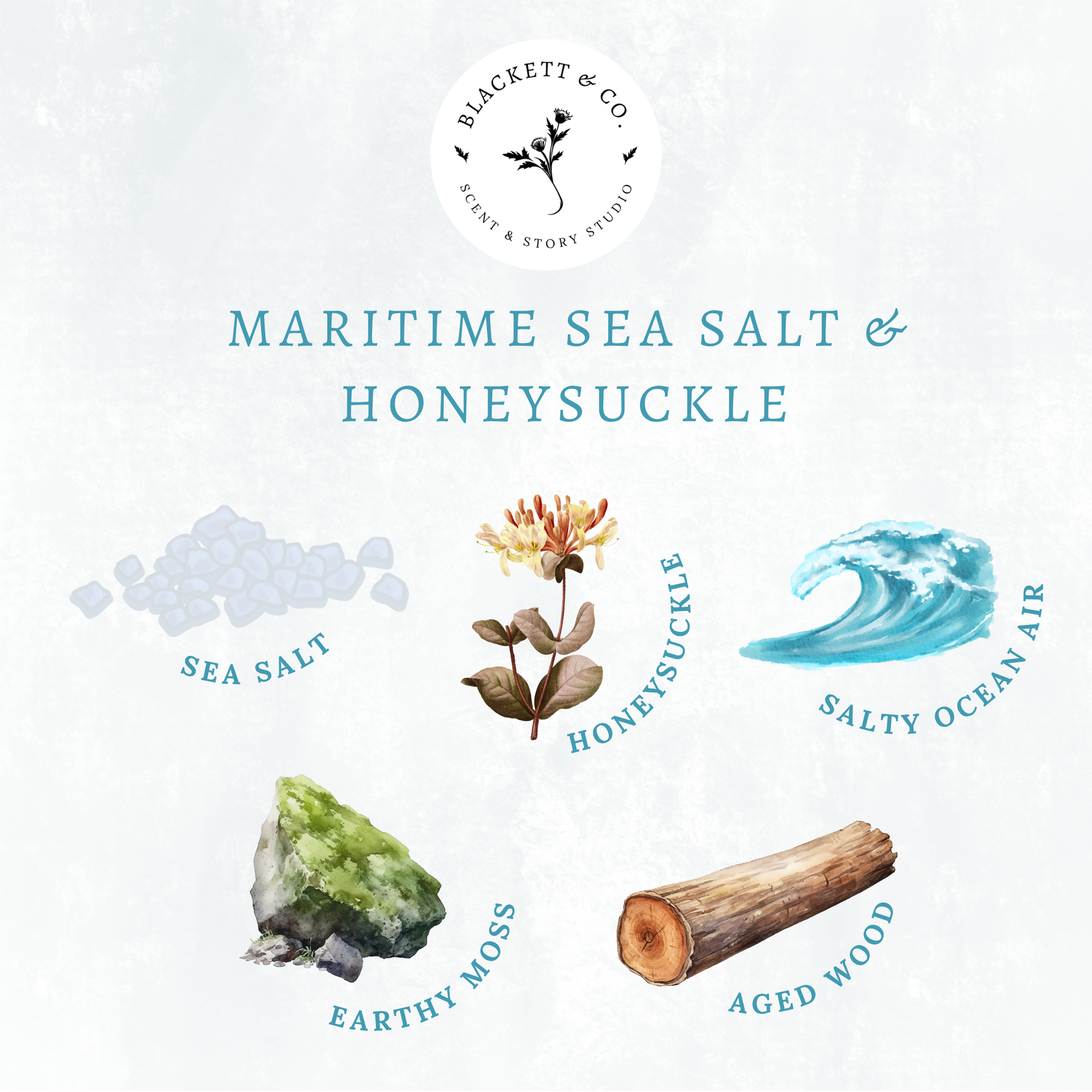 Scent notes of Maritime Sea Salt & Honeysuckle scented natural soy candle: sea salt, honeysuckle, ocean air, earthy moss, and aged wood.