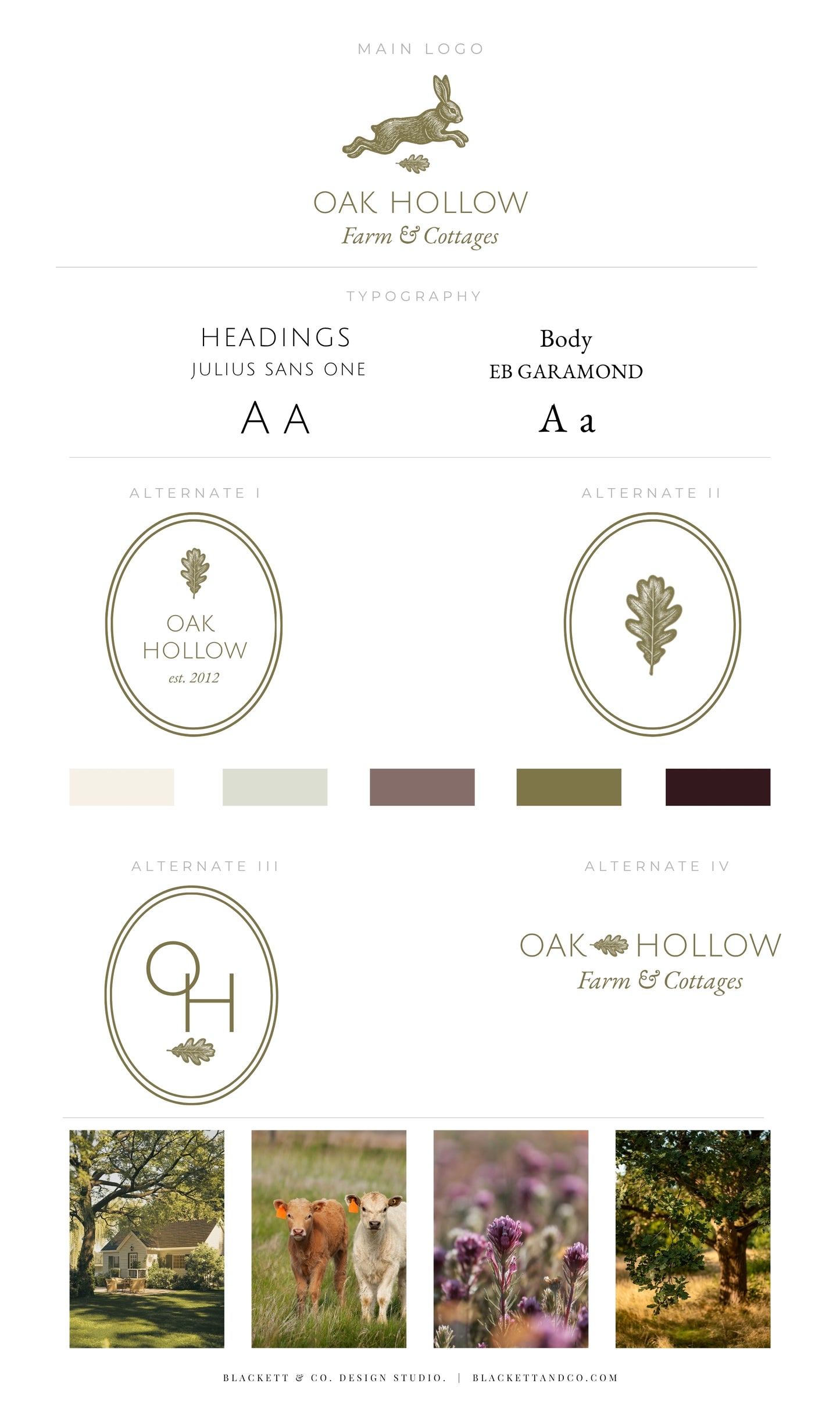 Oak & Hare theme logo by Blackett & Co. showing logo variations, typography choices, colour swatches, and small lifestyle photos of farm scenes and cows.