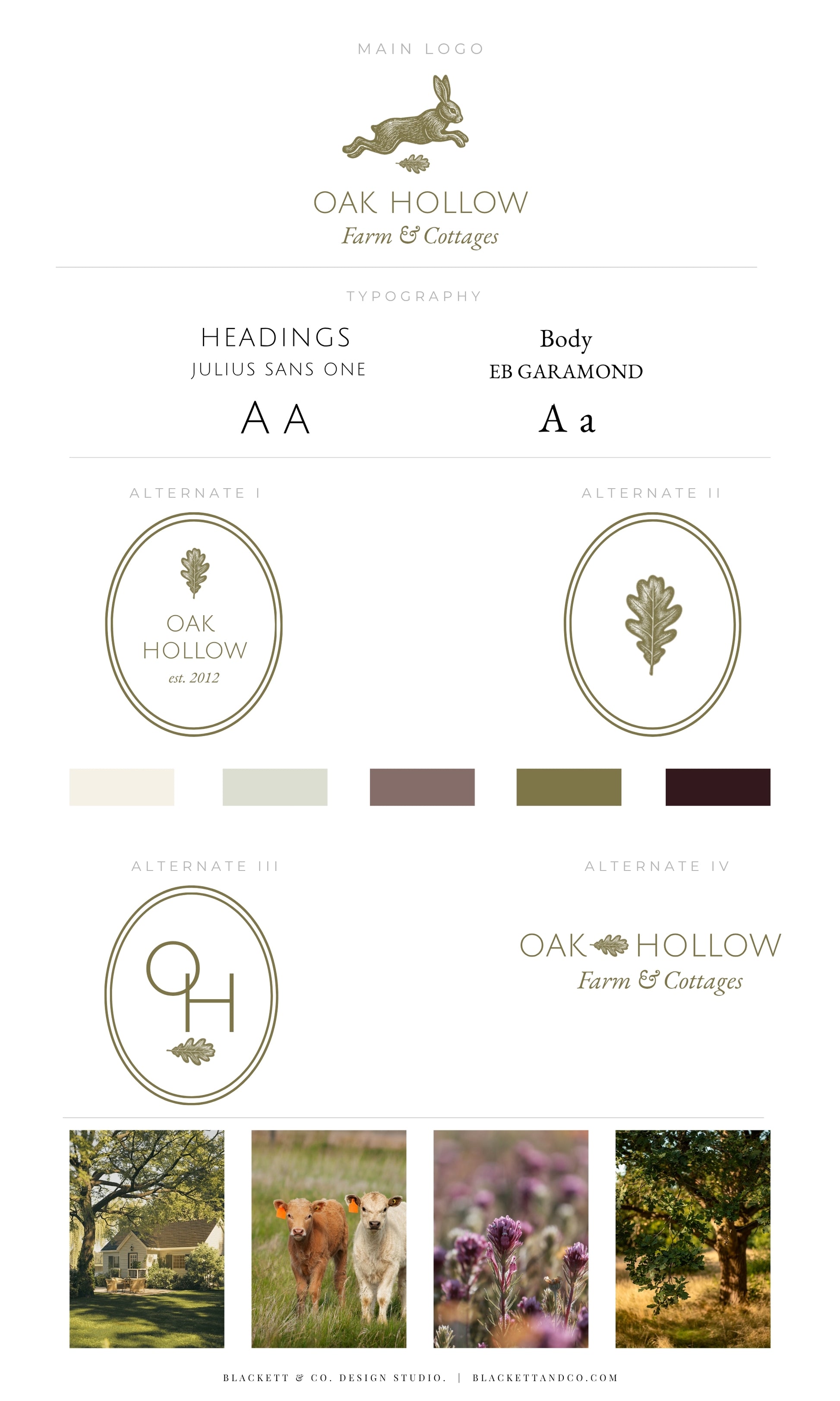 Oak & Hare theme logo by Blackett & Co. showing logo variations, typography choices, colour swatches, and small lifestyle photos of farm scenes and cows.