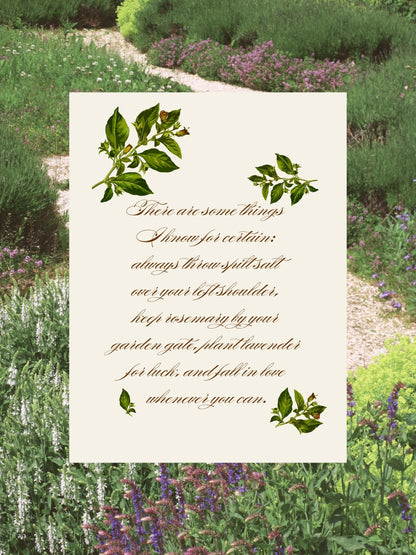 Witchy Belladonna Botanical Wall Art