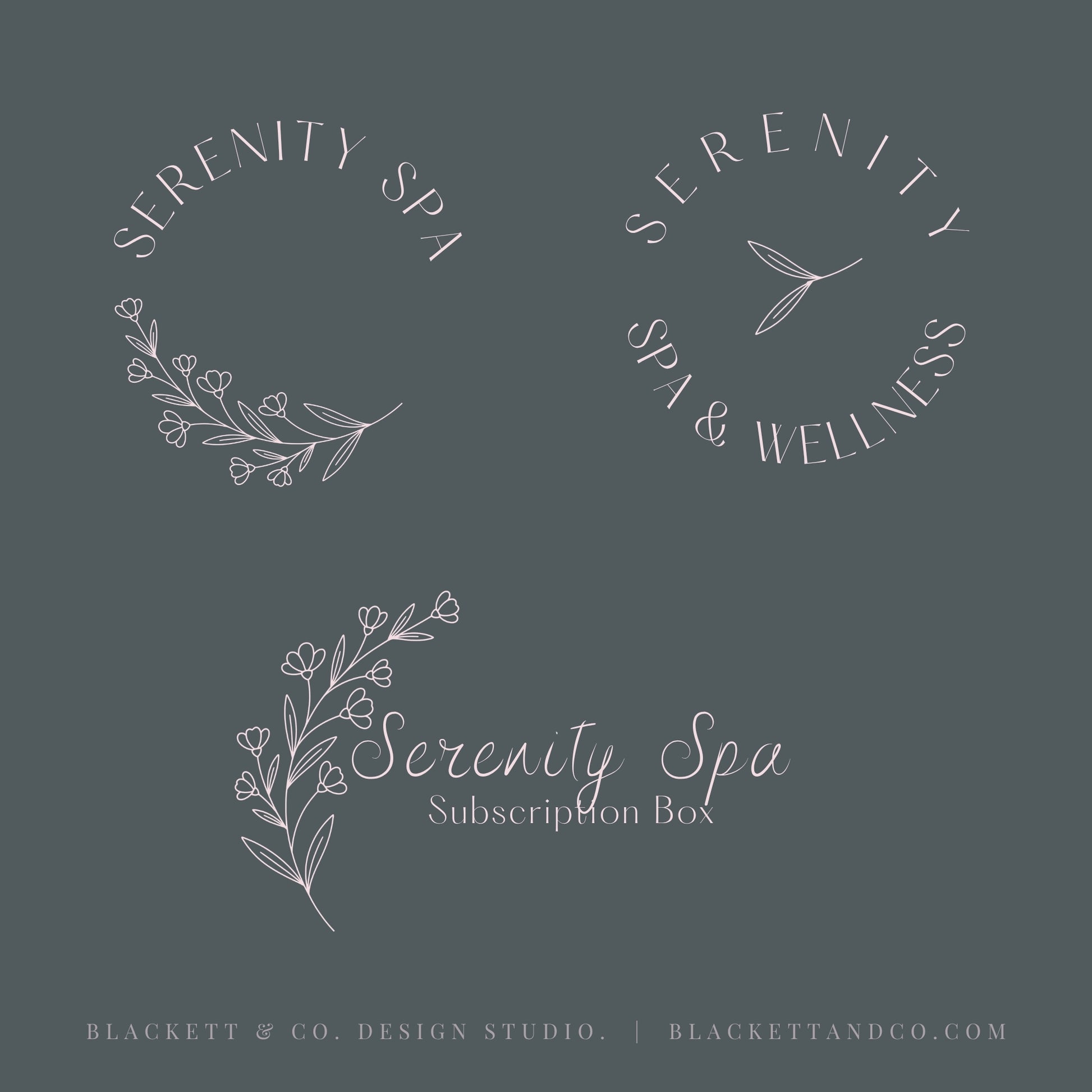 Serenity Brand Logo designs on a charcoal grey green background with floral line art.